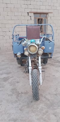 ستوته • ٢٠١٩ • اوراق