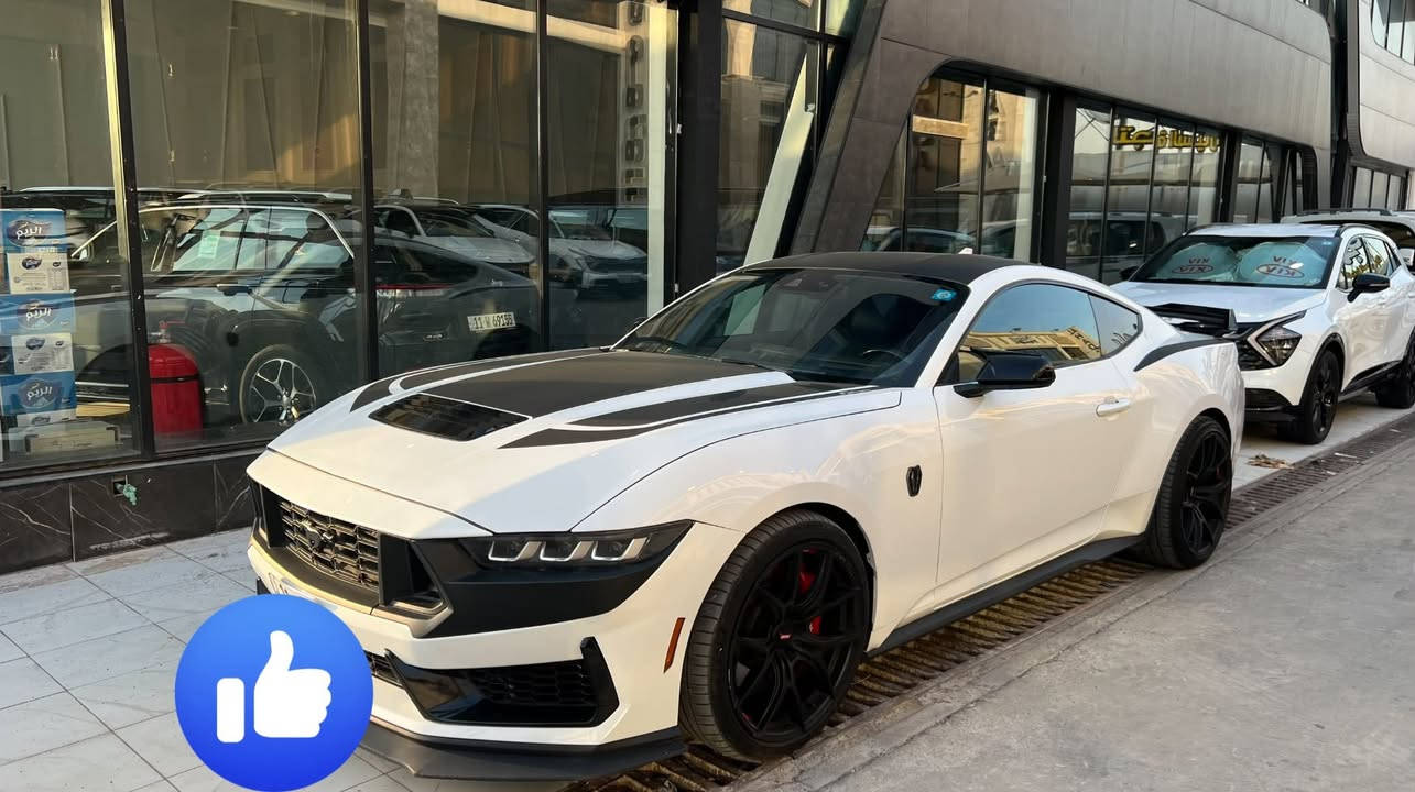 🚗 فورد موستنك GT Premium 2024
سيارة فول فول موصفات اعلى شي دبل فج خلفي🔥

رقم بغداد مميز تحويل بنفس اليوم 

سعر 265 وبيها مجال 🔥

✅ محرك V8 سعة 5.0 لتر بقوة 486 حصان
✅ قير أوتوماتيك 10 سرعات
✅ دفع خلفي (RWD)
✅ شاشة عدادات رقمية 12.4 إنج
✅ شاشة وسطية 13.2 إنج مع Apple CarPlay وAndroid Auto
✅ نظام صوت B&O الفاخر
✅اكتف كزوز بلادي 
✅شاشة ديتجال ورادار امامي خلفي 
✅ مقاعد جلد كهربائية مع تدفئة وتهوية
✅ إضاءة داخلية محيطية متعددة الألوان
✅ تشغيل بصمة ودخول ذكي
✅ كاميرا خلفية وحساسات اصطفاف
✅ مثبت سرعة ونظام المحافظة على المسار
✅ مراقبة النقطة العمياء والتنبيه من الاصطدام
✅ جنوط رياضية قياس20 إنج
عليها اضافات كزوز تزويد وشوت تزويد وبرمجة 
وتفريغ وويل تزويد 

حادث امريكا خشم البنيد صبغ  ودعامية 
وبالعراق صار بيها جملغ امامي بارد وخلفي بارد وتبديل باب نفس الون بدون اي صبغ 
السيارة جهازة ومناقصها ايشي 
مكاني بغداد 

اللون: أبيض
الممشى: 17 ألف كم

للاستفسار***********  التواصل على الخاص

