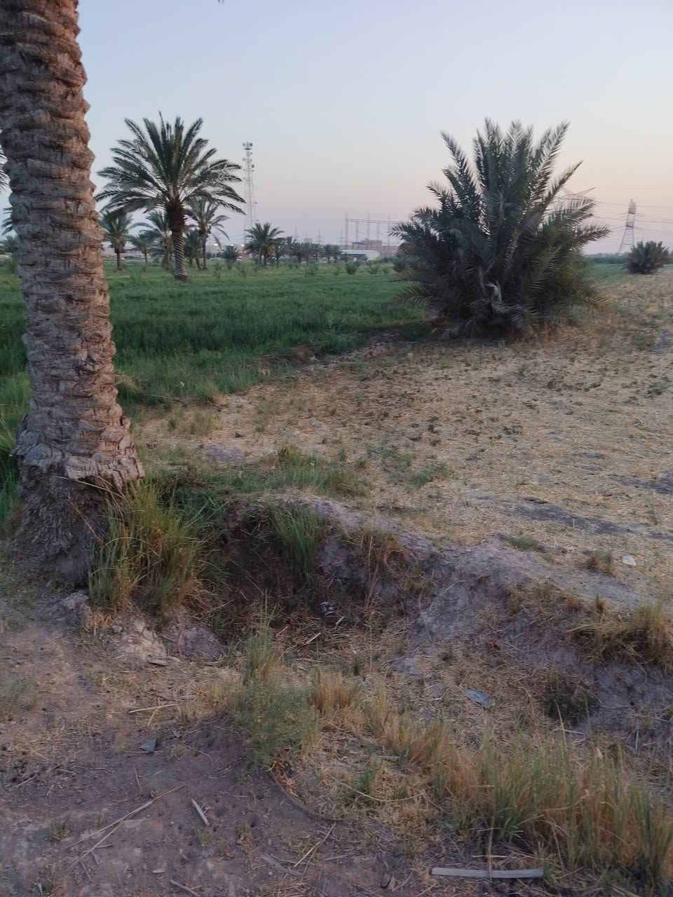 ارض زراعيه للبيع ارض كلش حلوه مساحته 5 دونم واصله كهرباء ومي اساله ومي سكي كلشي متوفر بيه
عنوانه طريق كربلاء حله خلف طاقه الكهرباء قرب المعهد التقني بابل
للاستفسار ***********

