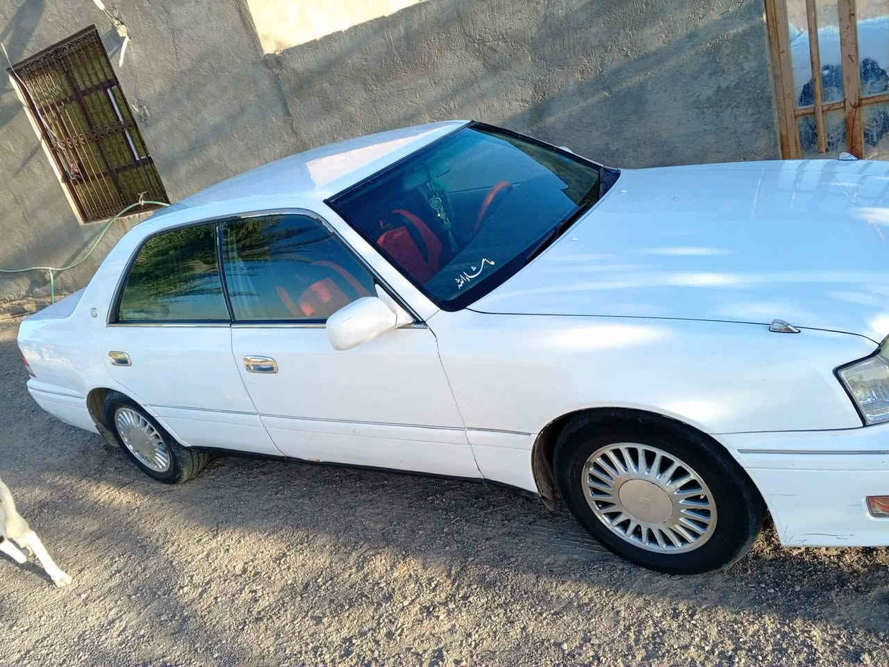 راس الثور فلات رقم بغداد دولي جاهز مديل ٩٨ المكان الديوانية الشاميه *********** هذا رقمي بيه واتساب السعر 85 وبيها مجال الطيبن ترهم مراوس ملكه،،
