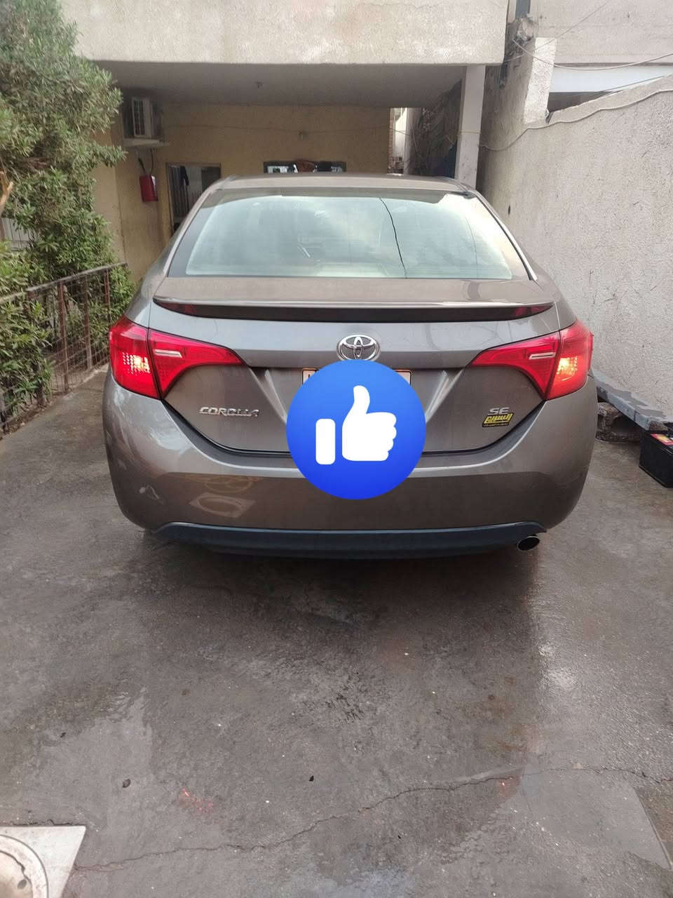 كورلا اس اي • ٢٠١٧ • رقم اربيل