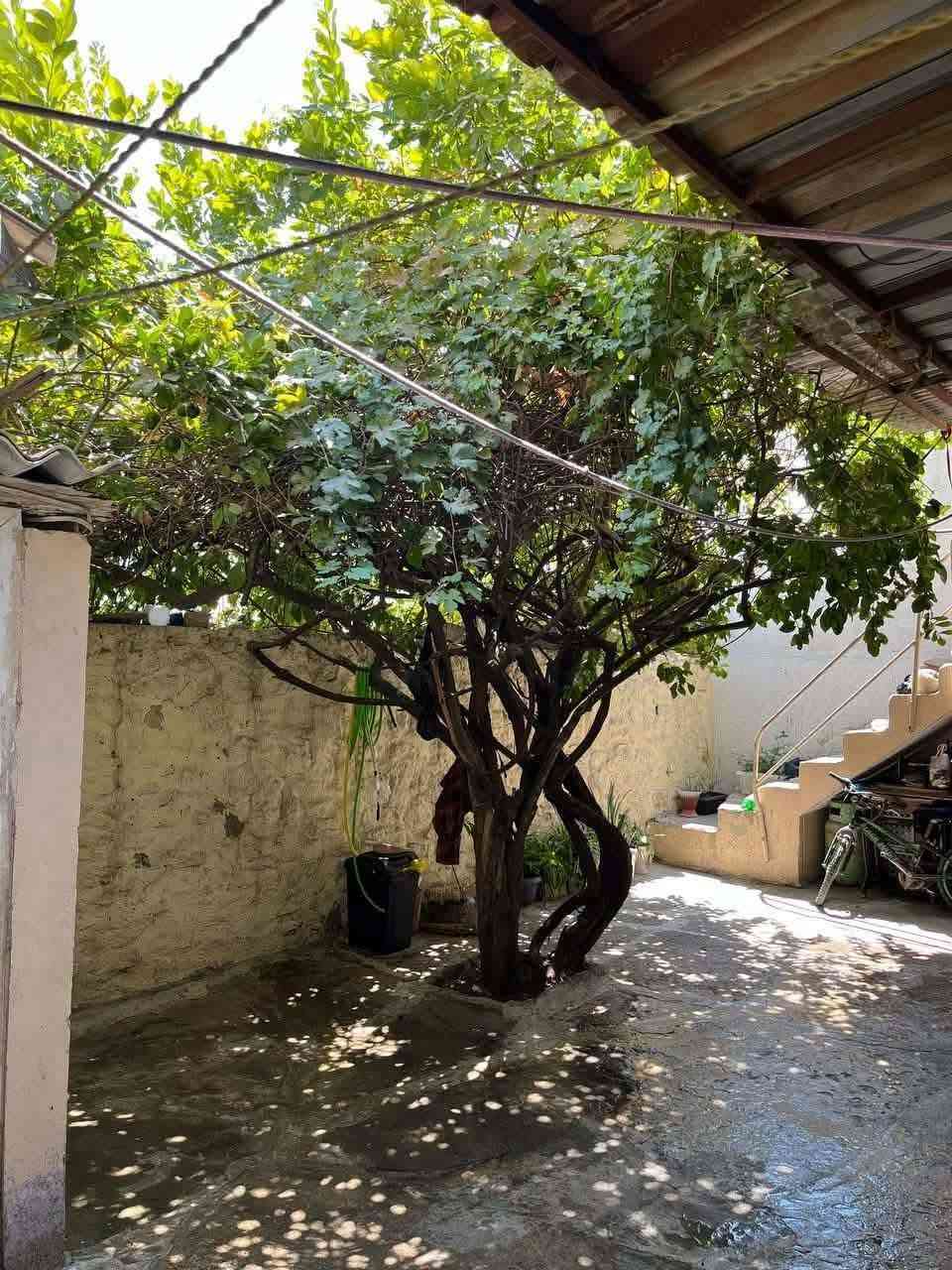 دار للبيع في حي المنصور قرب الملعب
السلام عليكم

مساحة 108 م
البيت ركن 
الوجهة 9
البيت شرقي 
 الدار مكون من ثلاث غرف وصحيات و مطبخ و مخزن

الدار ملك صرف طابو 

سعر الدار 70 وبي مجال

للاستفسار التواصل على الرقم

***********
