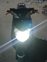 سكنس فحل • كابرتير • كفاله