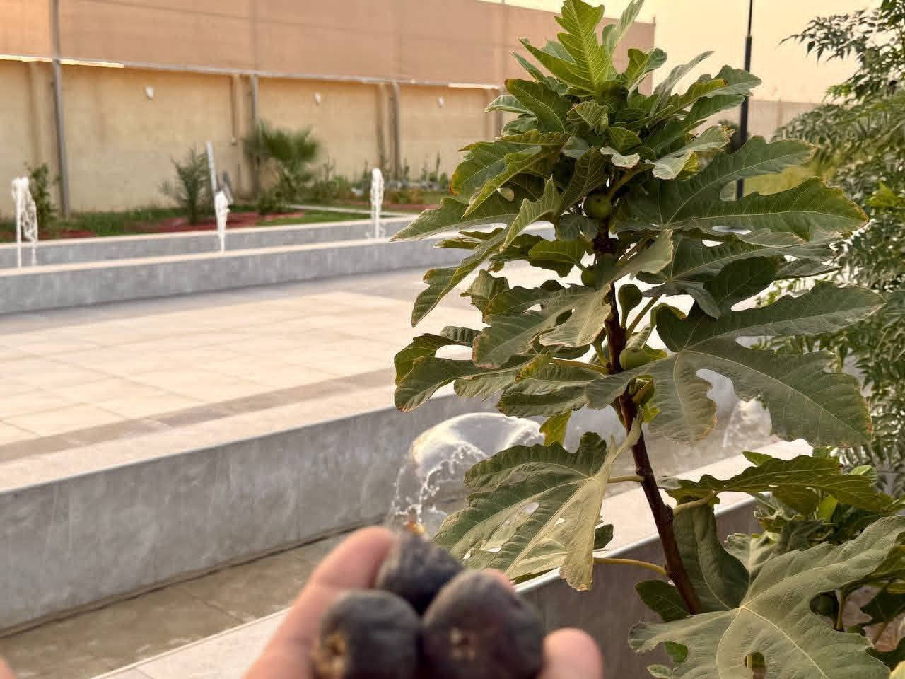 منتجع_الماء_والخضراء
في صلاح الدين قضاء بلد 
مسبح للكبار والأطفال 🏊🏻‍♂️
حدائق 🌳
منتجع متكامل (غرف نوم 2 وصالة كبيرة ومطبخ تركي + حمام غربي و شرقي) 🏡
مناقل شواء  لكافة انواع المشاوي 🍢
كهرباء على مدار 24ساعة⚡️ 
خدمه انترنيت 📱
گراج سيارات كبير جدا 🚙 
العنوان 📍صلاح الدين/ قضاء بلد / مدخل المدينة 
للحجز ☎️📞
*********** عباس وتساب
