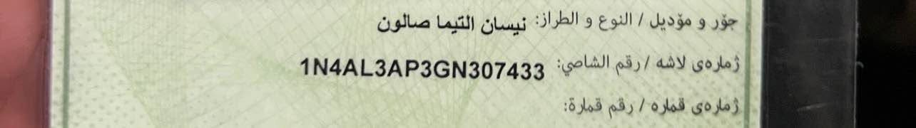 التيما • ٢٠١٦ • أربيل