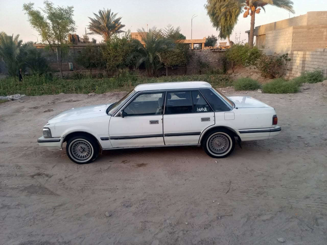 سوبر بلاديه 85محرك مجفت جديد كير جديد رقم بغداد انكليزي بسمي تخم تاير دوشمه جديده السعر 50وبيها مجال ***********/***********
