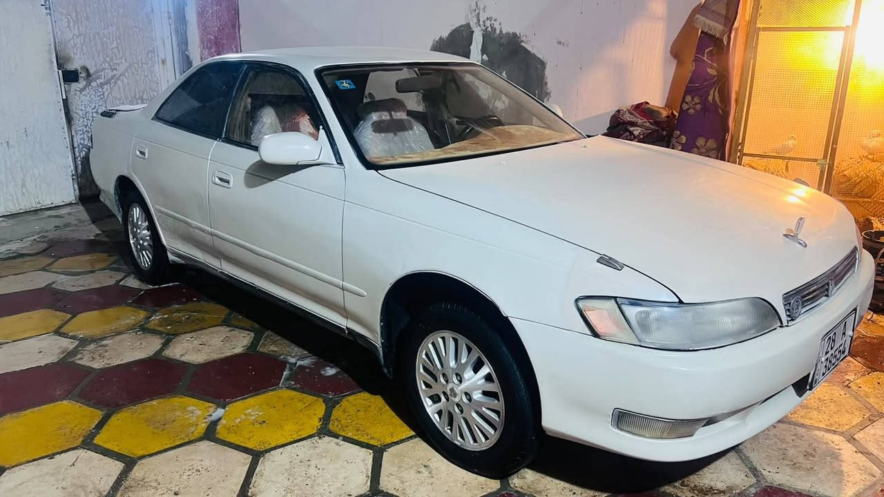 مكفولة • ٢٫٥ • نجف