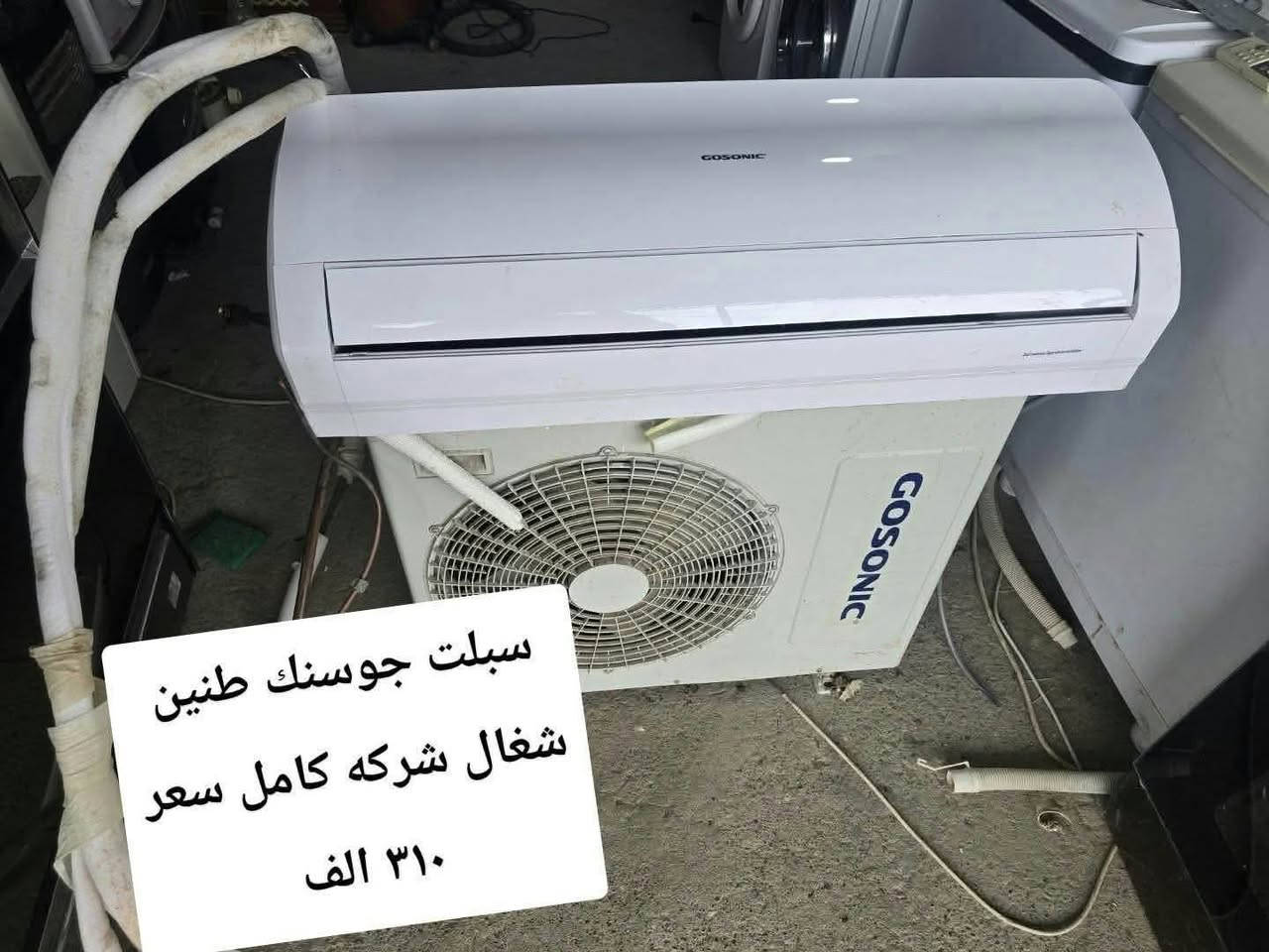 شغال • جوسنك • جنرال كولد