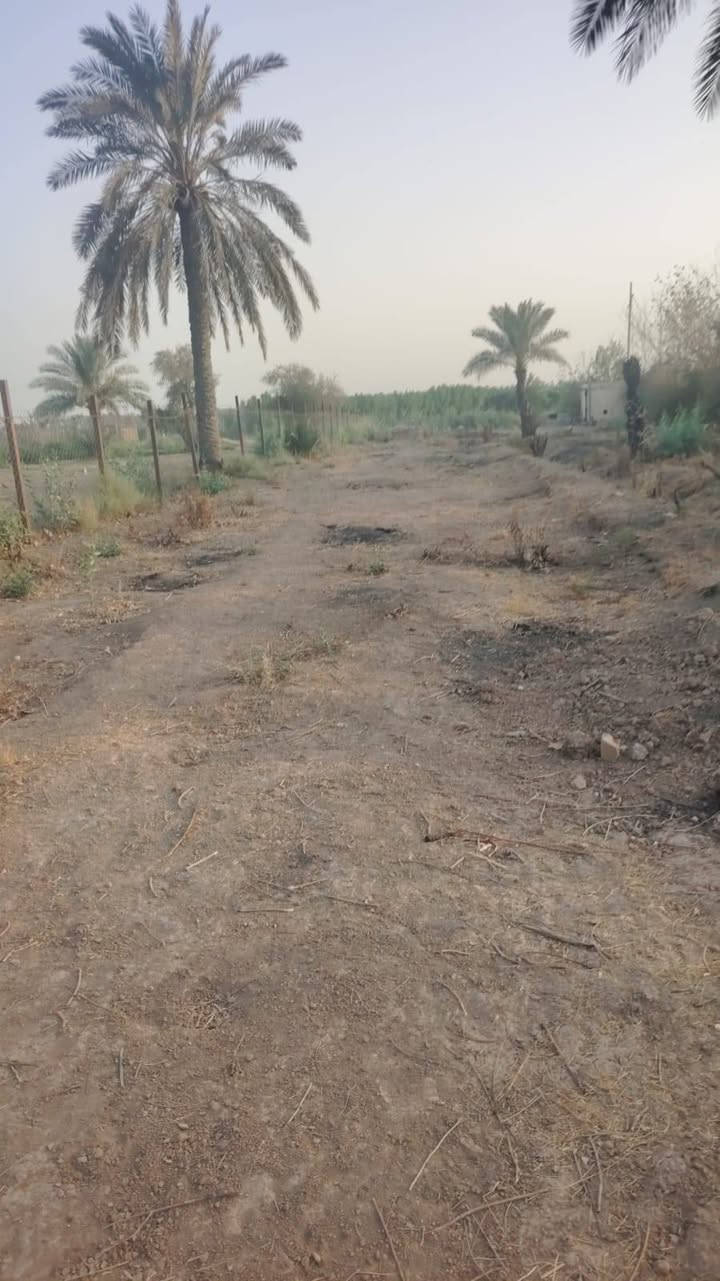 يا الله سلام عليكم يتوفر عندي دونم طابو ملك صرف عنوان لزعفرانيه عله فرع لنهر دجله خدمات كامله يصلح سكن يصلح مزرعه

