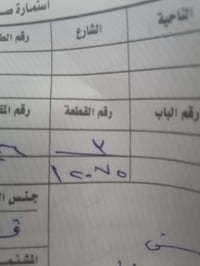 بلحولي • نصف قطعة • ١٢٥م