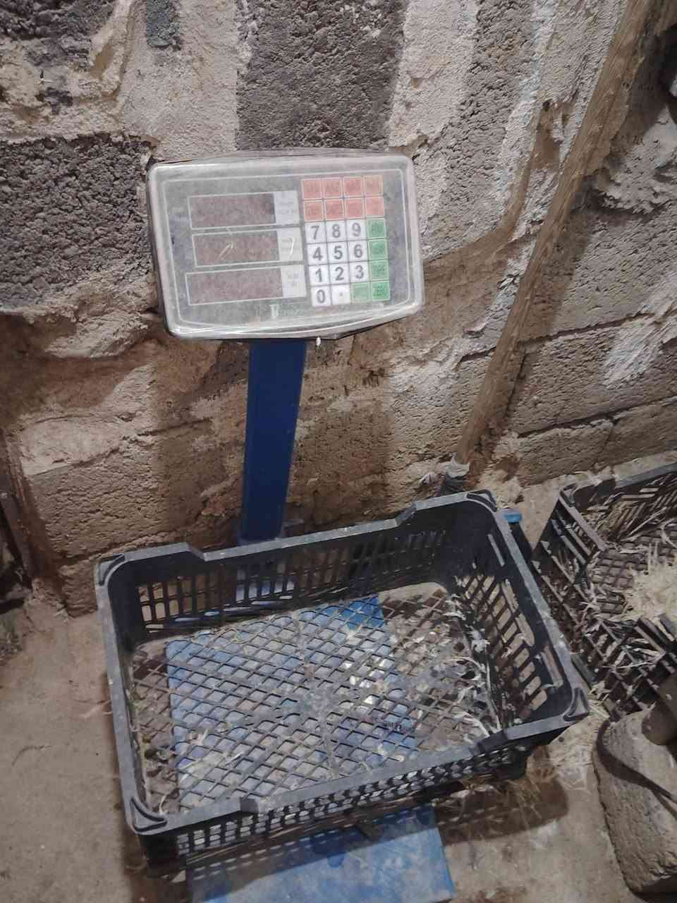 اغراض محل دجاج • للبيع كامل • قابل تفاوض