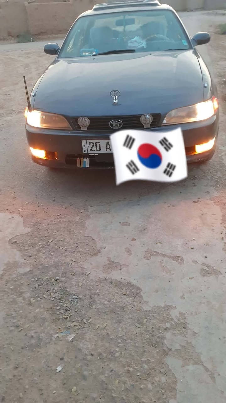 نضيفه حيل • تحويل ثاني يوم • ديالى السعديه