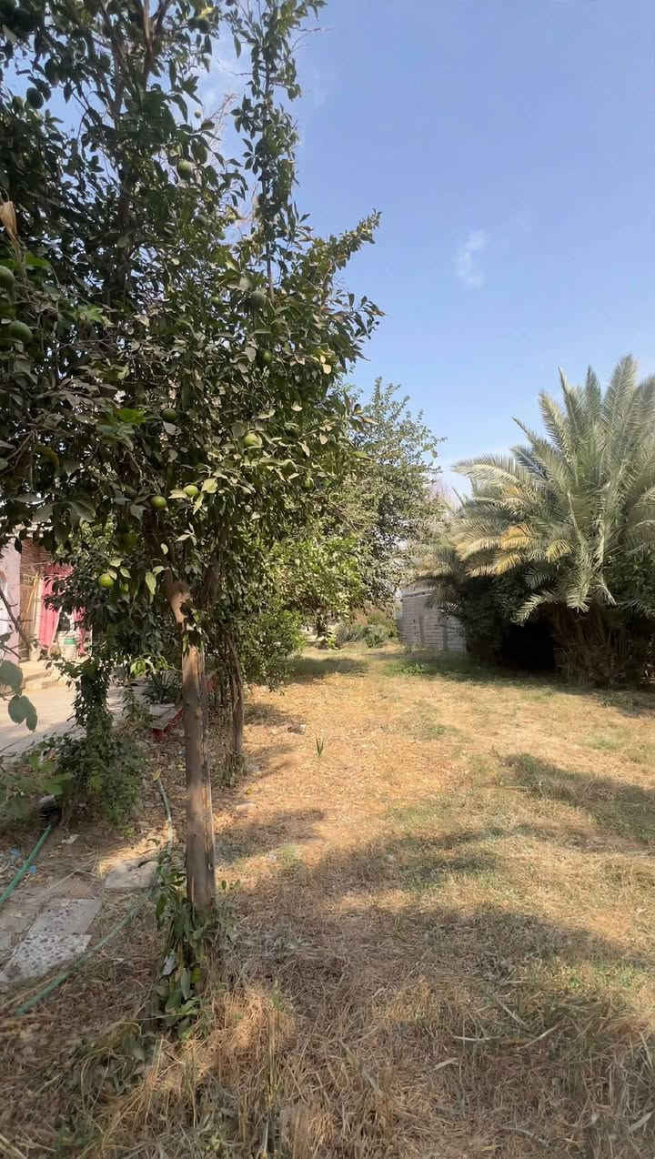 الكوفة • ١٦٠٠م • بيها تمليك