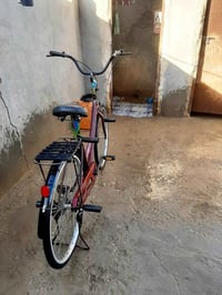 باسكل • نظيف • شوملي