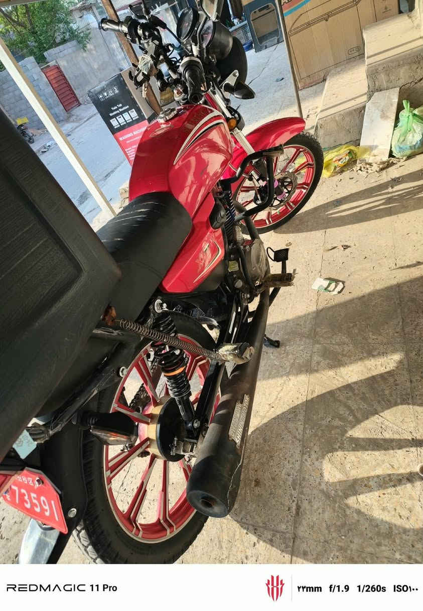 شاينك • سكنر • ٢٠٢٥