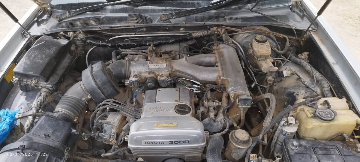 سلام عليكم
سياره ارنب للبيع موديل 2000 
رقم بصرة دولي بسمي  شرط تحويل والأصوليات 
سياره جاهزه كهربائيات مكينه 3000 دواخل نضيفه سياره كفاله من الكص ونقل جثه المكان الناصريه سوق الشيوخ كرمة بني سعيد 
السعر 53  وبيه مجال سياره 
للاستفسار 
***********
