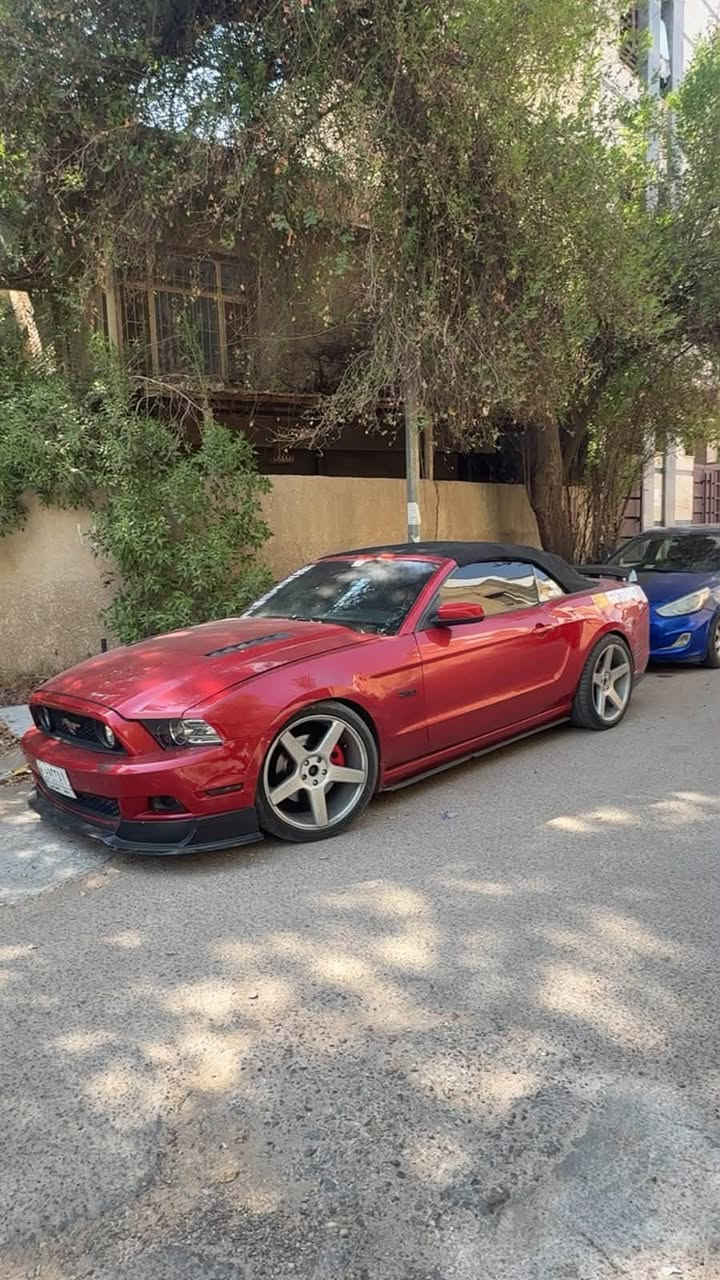 Mustang GT premium 🐎❤️‍🔥
الموديل: [ 2013 ]
المحرك: [ V8 / 5.0 ] 🔥
الگير: [ أوتوماتيك ]
الممشى: [ 68 الف ميل ]
اللون: [ أحمر - مميز ] 🚩
الحالة: [ حادثها صندوك وشوية بارد بـ الجاملغ الخلفي بامريكا ، وبـ العراق صار بيها جاملغ امامي جهة السايق وايرباك الدركة طاك + صور الحادث موجودة ]

[ لمعرفة السعر اترك تعليق داخل المنشور وسوف يصل اليك مباشر عبر رسالة نصية ] 📥

[ الـــــمـــواصــفـــــات ]

- بريميوم 7 الوان 
- شاشة كبيرة 
- مقاعد جلد 
- كاميرا
- انارة تحت الرجل 
- سستم سماعات ( شيگر )
- تحكمات ستيرن 
- وبقية المواصفات المعروفة 

[ الاضـــــــافــــــاات ]

- تضليل أمـريكي 100%
- لحية RTR
- دفيوزر + سبويلر شيلبي 350 
- ويل فورزن نجمة قيـاس 20 تو سايز
- تفريغ + داون بايب
- دبات Ht Power + بوابات ريمونت 
- حلوك اكزوزت Corsa
- برمجة سيفتي ( كت اوف + طلقات - استعمال يومي )
- الصدر جديـد + التايرات جديدة 

الموقع: [ بغداد / اليرموك ] 📍

للتواصل واتس اب او اتصال : [ *********** ]
