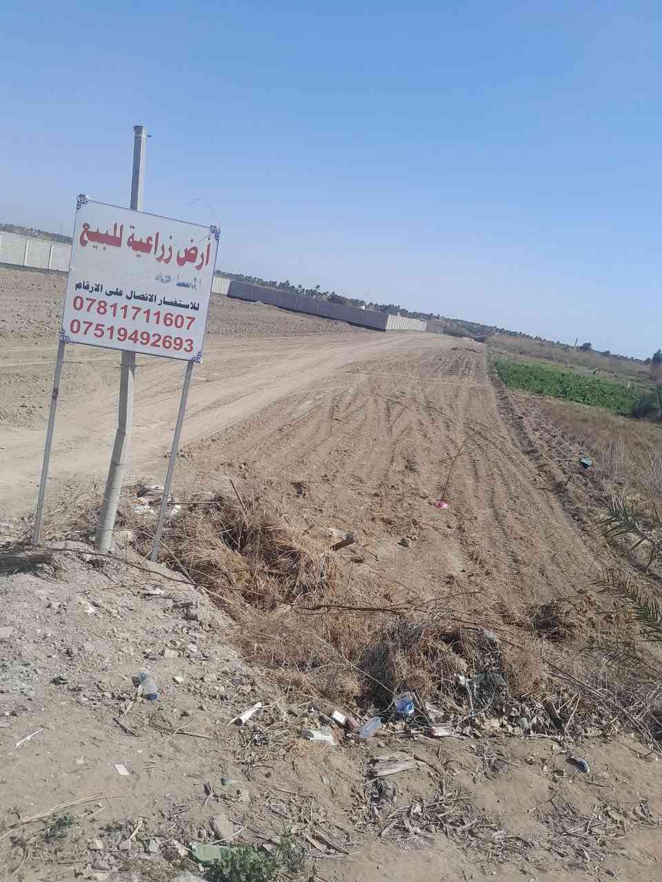 الصقلاوية حويوة • ٤ دوانم • عقد زراعي ١١٧