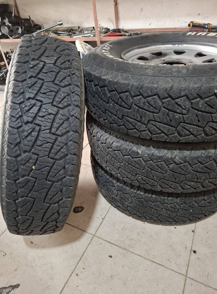 خوذة • هابليت • نظيفة