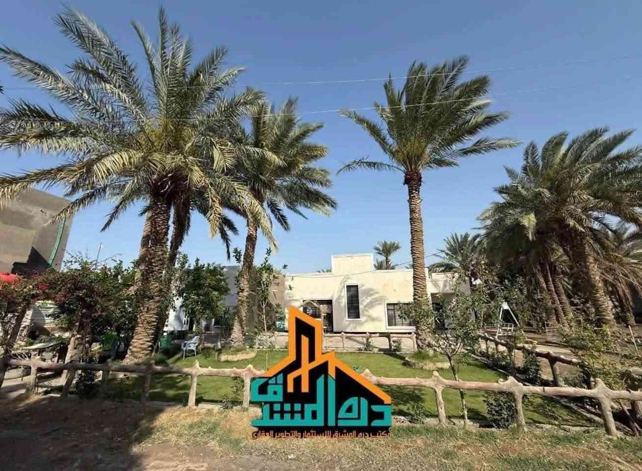 ام طباشي • زراعي سند ٢٥ • ٢٣٥٠م