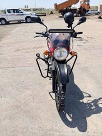 بوكسر • فحل • ٢٠١٩
