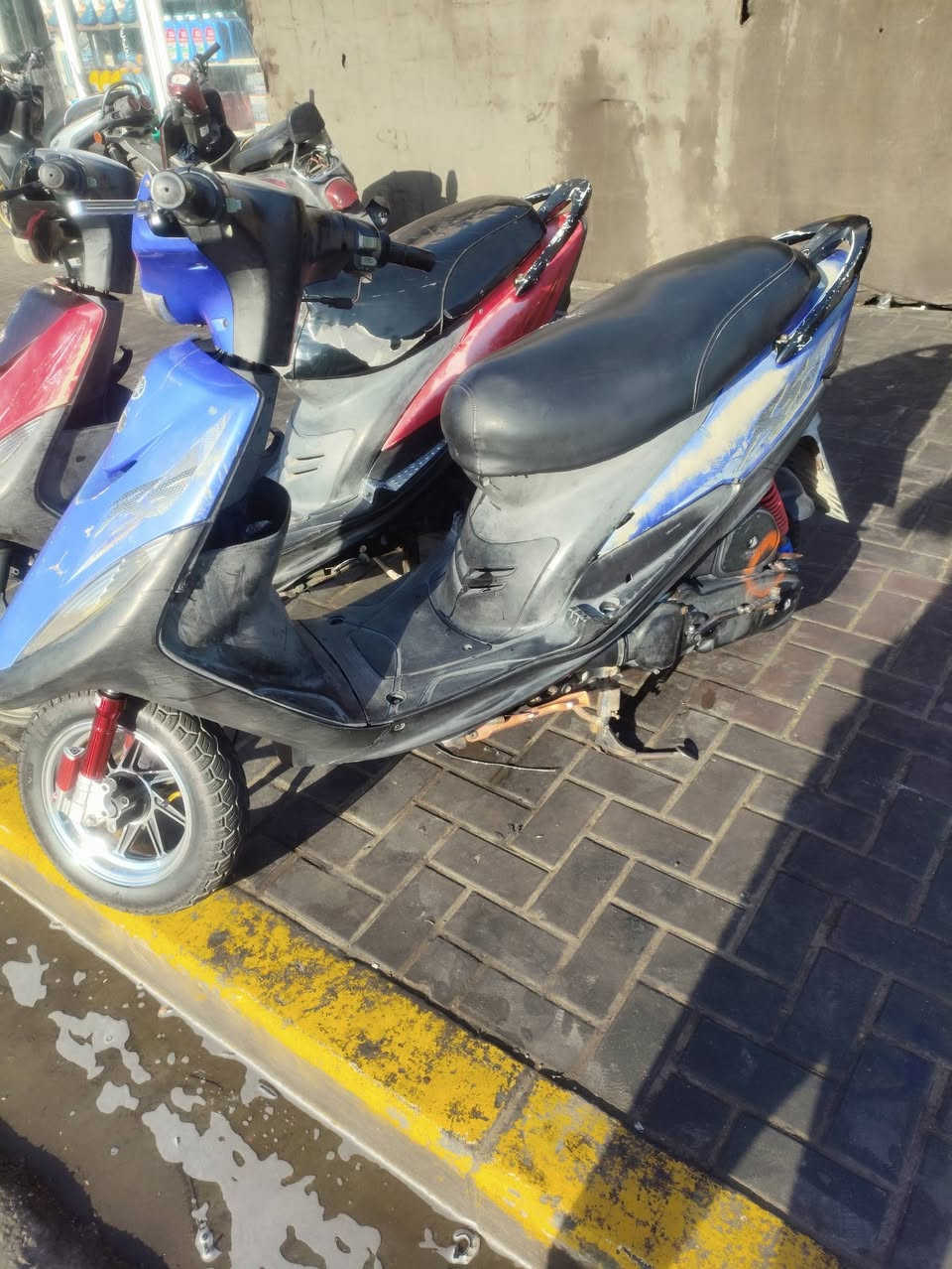 ماكس عدله بلاديات ممفتوحات ختم واحد للبيع مستعجل عله بيعتهن بعقوبه تحرير ***********
