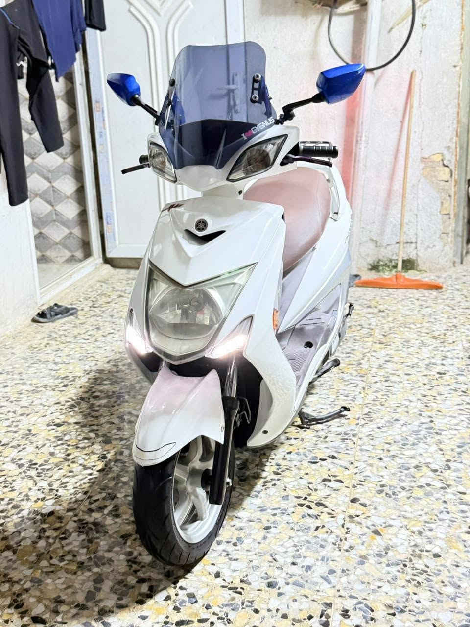 سكنس فحل • ياباني • نضيف