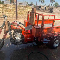 ستوته • ٢٠٢١ • بدون وراق