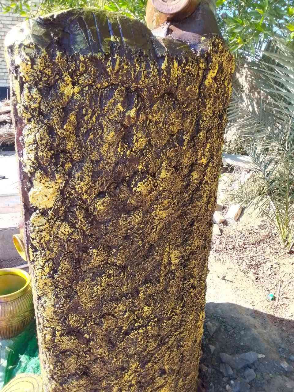 من أعمال المشتل الصغير (ابو ظافر) *********** الديوانية تسرنا خدمتكم
