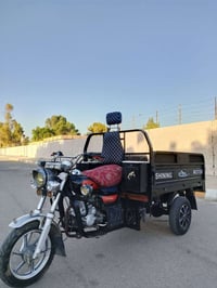 ستوتة بلادي • ٢٠٢١ • مكفولة