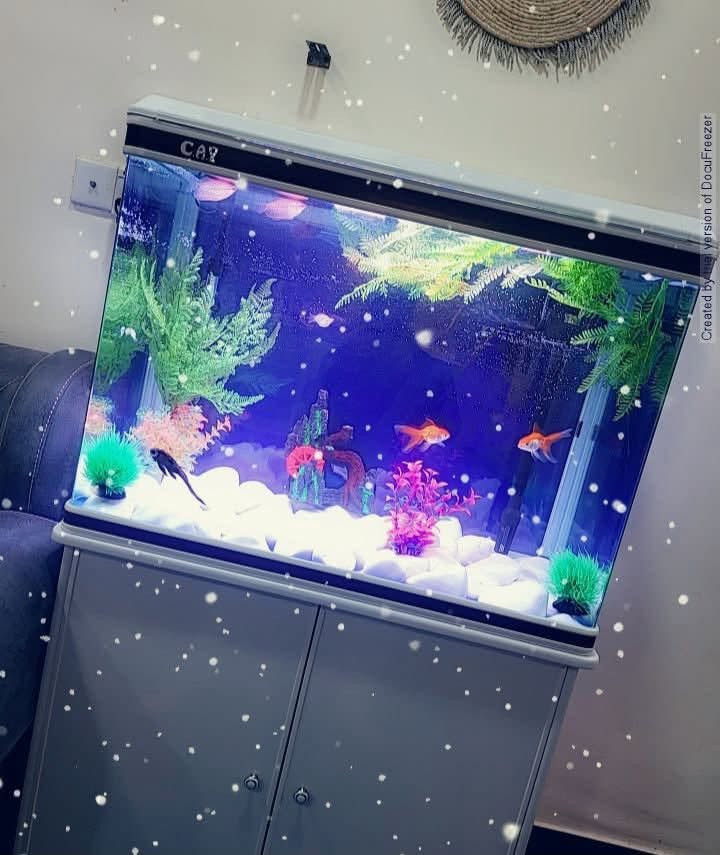 حوض سمك • جهاز اسبريسو • مكتب ١٢٠سم