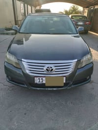 افيلون • ٢٠٠٨ • تاجي