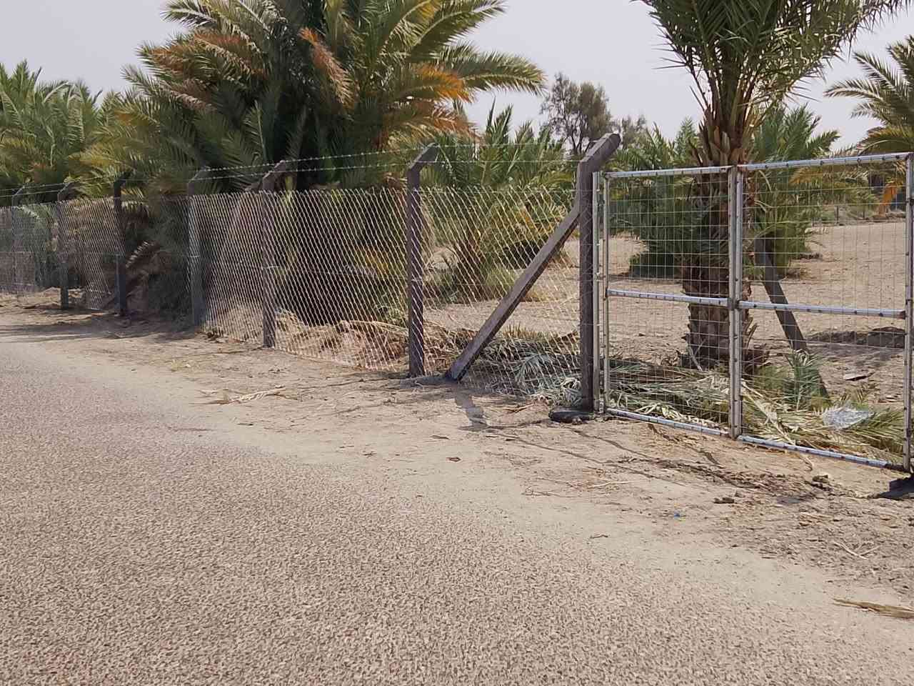 🟣تعلن شركة بابل لاسيجة البيارسي ⁦🟣
🔻عن عمل ونصب جميع انواع اسيجة الBRC ⁦⛏️⁩
🔻وعن عمل جميع انواع الاسيجة العشبية الجميلة 🍀🍀
🔻سعر المتر من 6الف 💸الى 10الف 💸حسب الطلب وحسب نوع السيم ⁦⚒️⁩
🔻يوجد كادر مختص بالعمل 💪
🔻نعمل في كافة محافظات العراق 🚛⁦🚛
🔻للطلب او الاستفسار قم بمراسلة الصفحه او اتصل على الارقام ⁦⬇️⁩
***********
كروب عمل بيارسي سعار مناسبه
