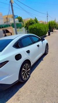 سيل • ٢٠٢٥ • بغداد-اربيل