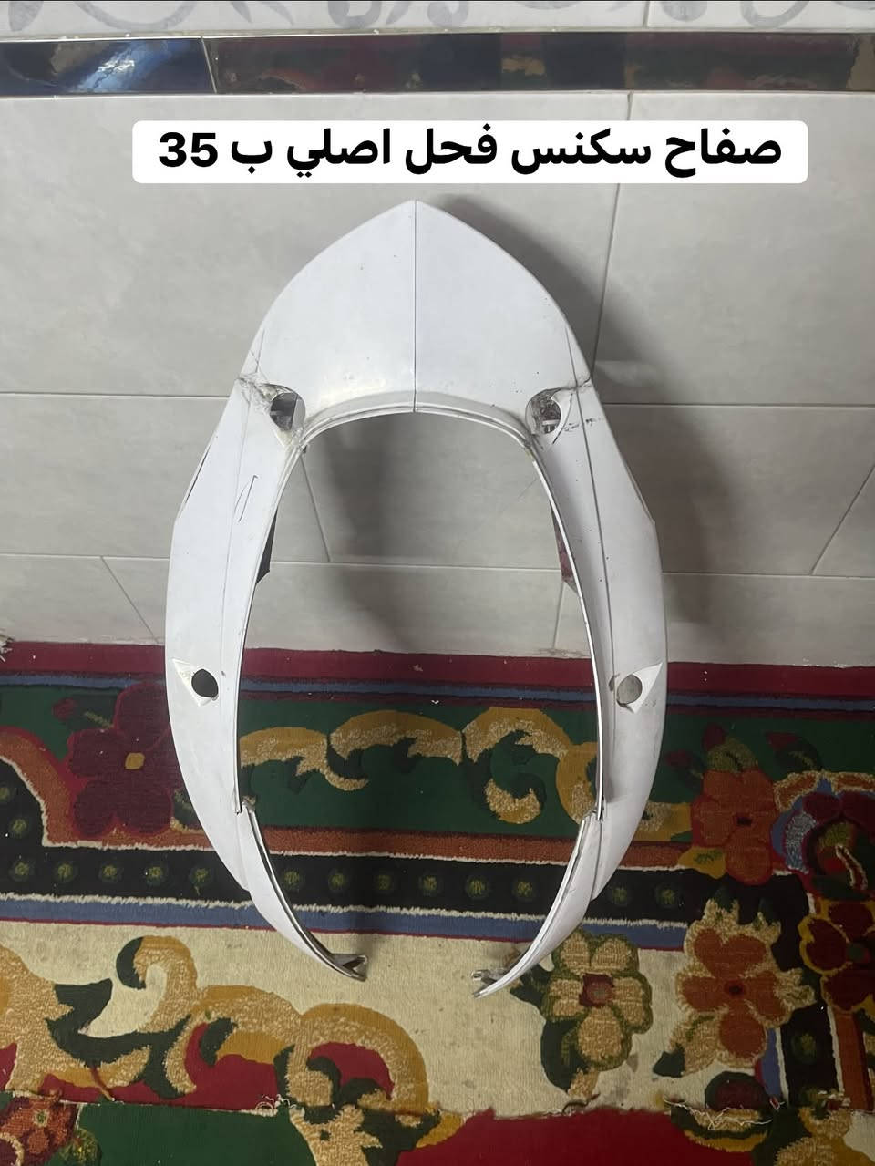 سكنس فحل • اصلي • المشتل