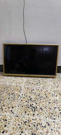 ٣٢انش • شغال • كوكجيلي