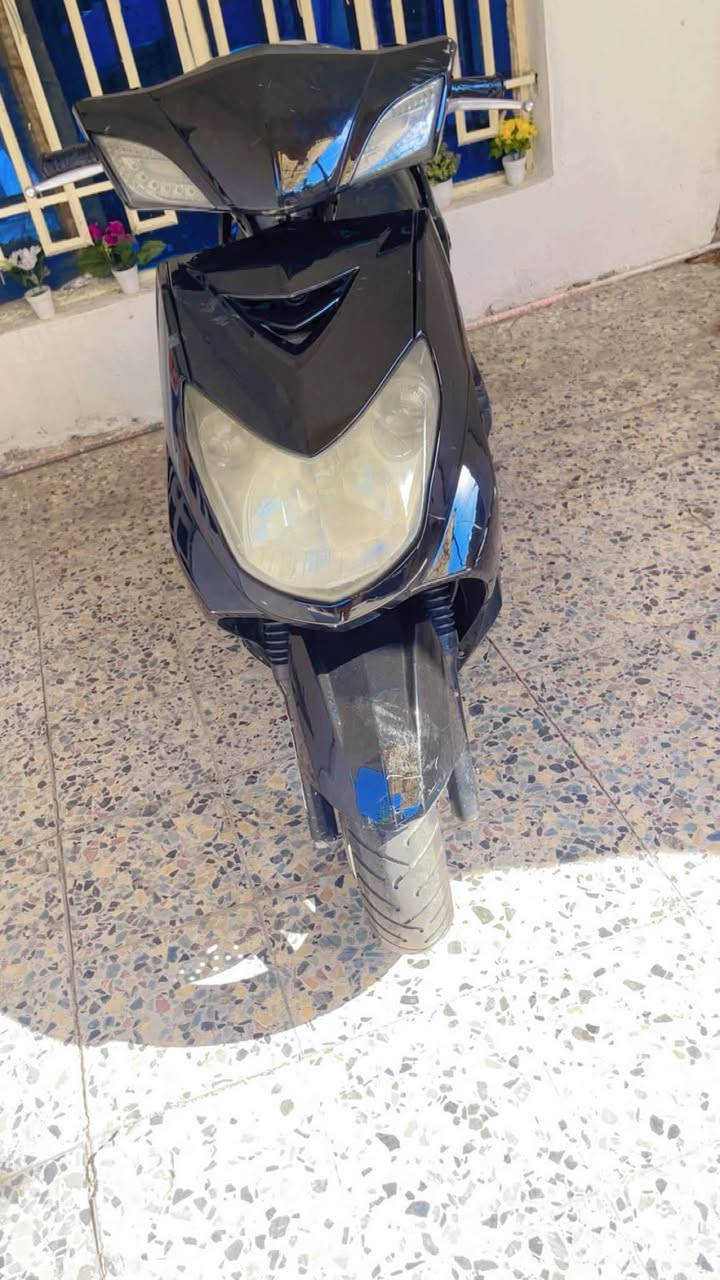 السلام عليكم سكنس فحل مكينه خير من الله كهربائيات كلهه شغالة دبل اشاره دراجه نوزل نكره سلف بكل وكت لايت زنون كل نقص مابيها السعر 600 بيها مجال المكان بغداد الكرخ ***********
