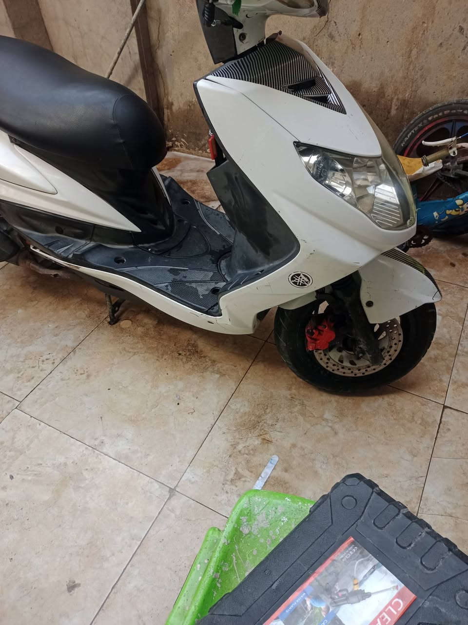 سكنس فحل • ياباني • نازله