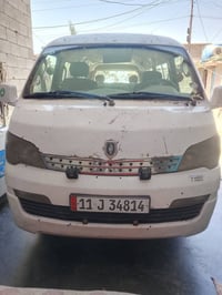 اجوان جنبي • ٢٠١٤ • صبغ