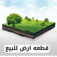 حي موظفين المستوصف • ١٢٥م • طابو صرف