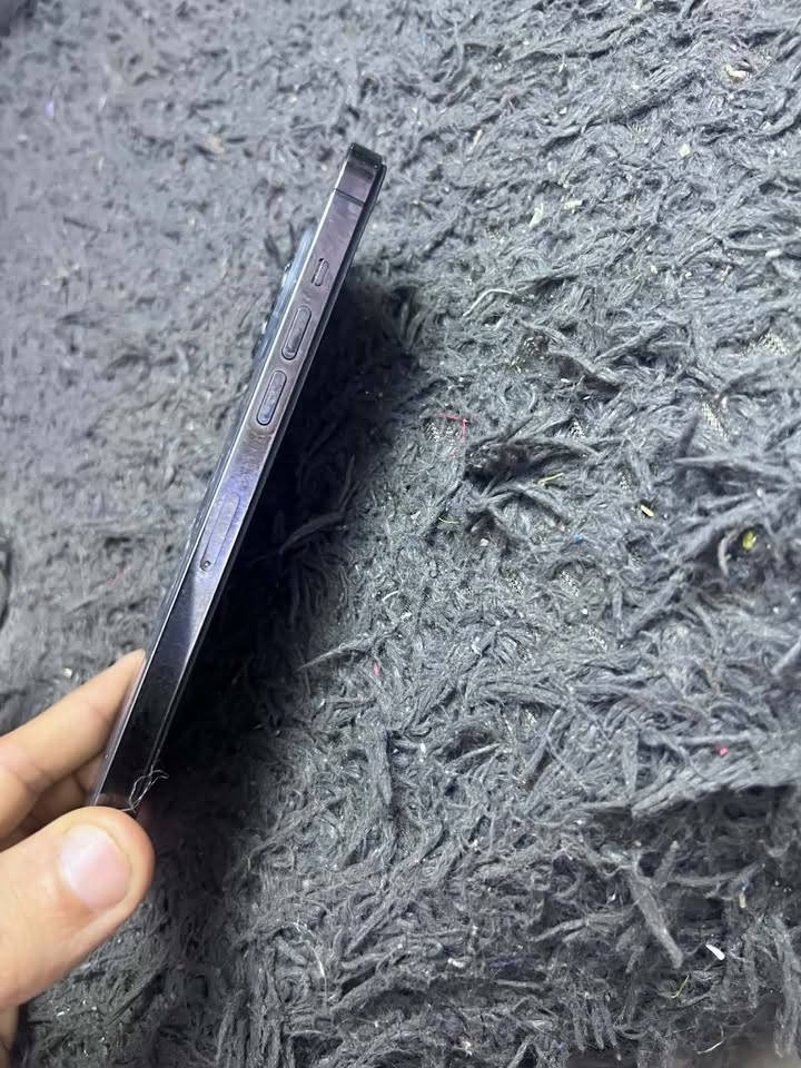 ايفون ١٢ برو ماكس • ١٢٨ • فيها فطر