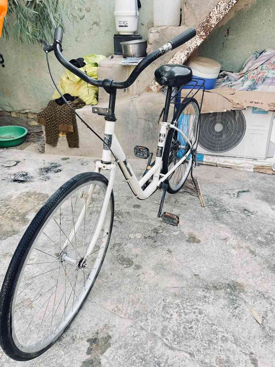 باسكل • نضيف • رفاعي