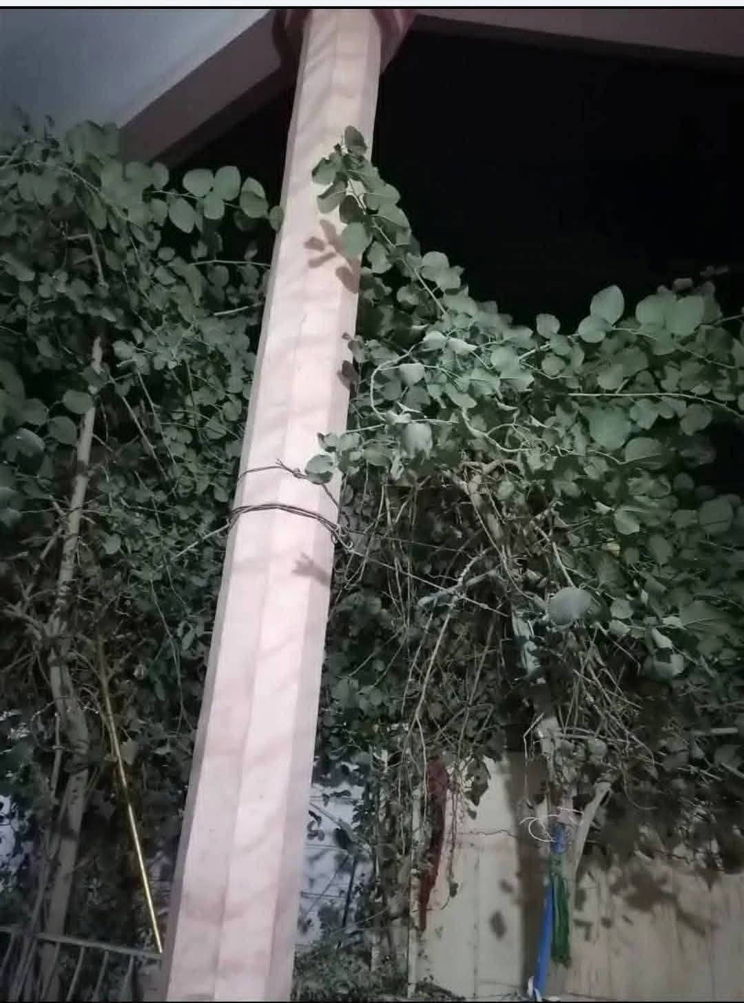 بيت للبيع الصالحيه /الناصريه /جسر النبي ابراهيم قرب مطعم كويستان بناء حديث قريب عن الشارع ١٠ أمتار طابقين الأول غرفتين واستقبال جزئين وهول وصحيات ومطبخ الطابق الثاني غرفتين وصاله المساحه ٢٠٠ للاستفسار عالسعر على الرقم
بيت للبيع الصالحيه /الناصريه /جسر النبي ابراهيم قرب مطعم كويستان بناء حديث قريب عن الشارع ١٠ أمتار طابقين الأول غرفتين واستقبال جزئين وهول وصحيات ومطبخ الطابق الثاني غرفتين وصاله المساحه ٢٠٠ للاستفسار عالسعر على الرقم
9647800222724
