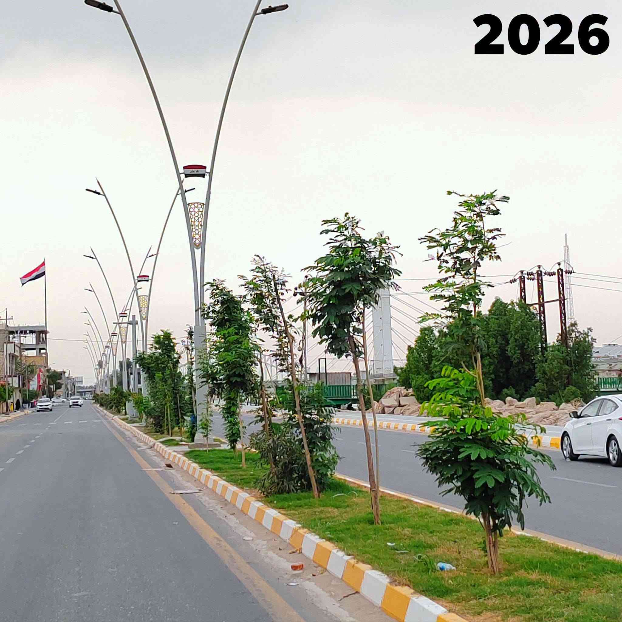 تشجير • الناصرية • ٢٠٢٥-٢٠٢٦