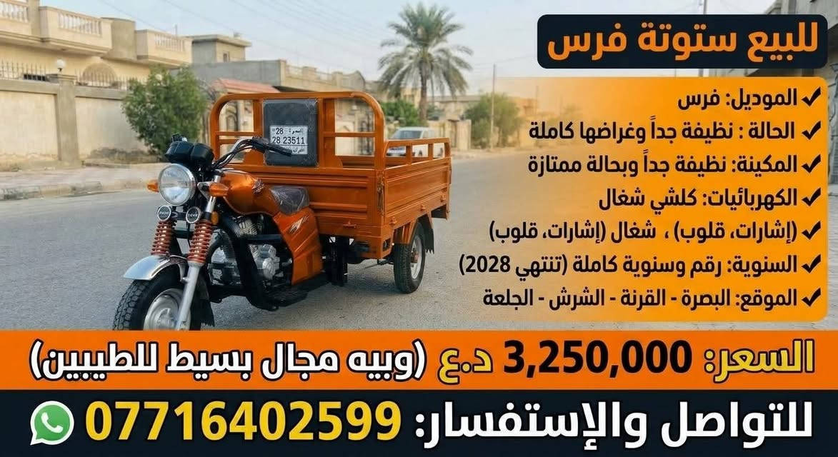 ستوتة فرس • نظيفة جداً • سنوية ٢٠٢٨