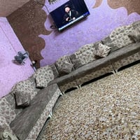تخم للبيع السعر 350