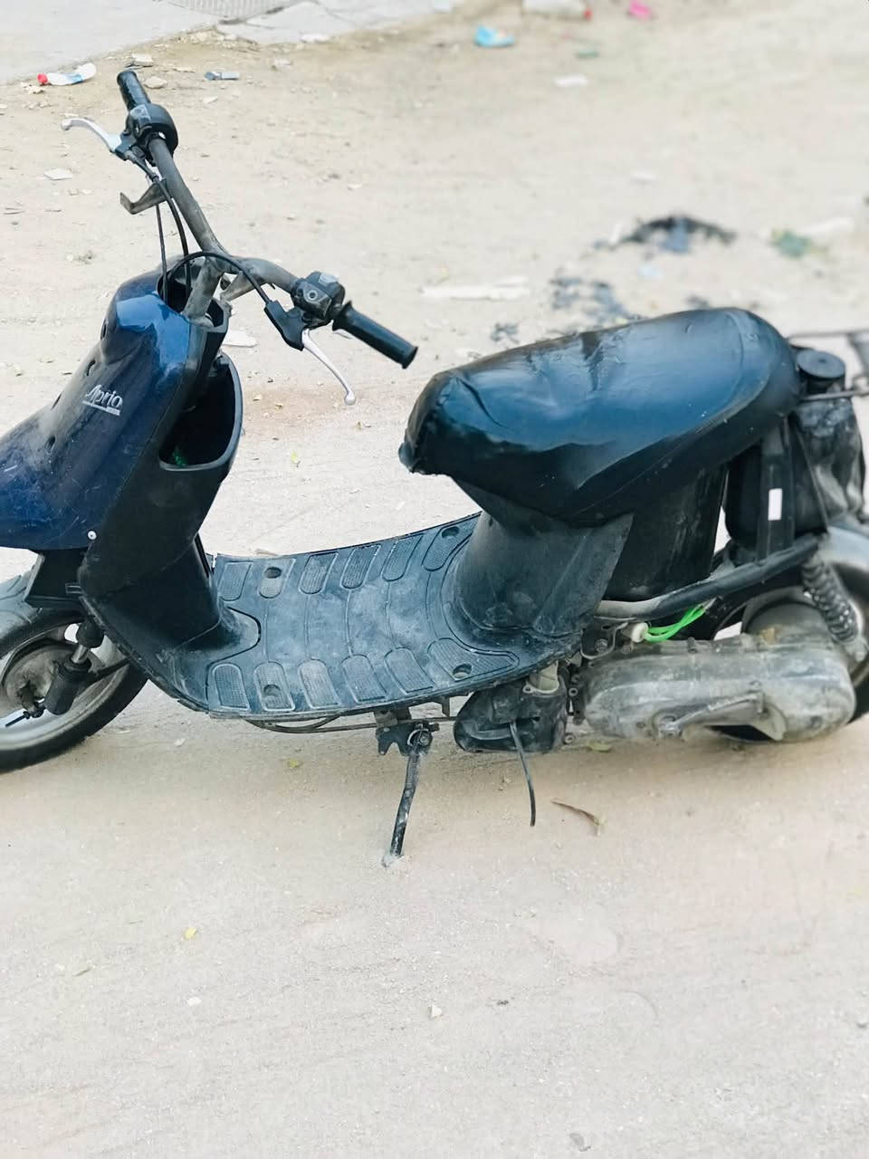 بطه • نضيفه • نشطه