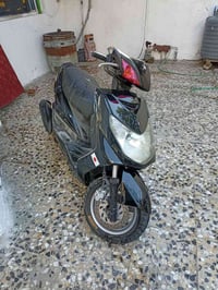 سكنس فحل • ياباني • نفخ