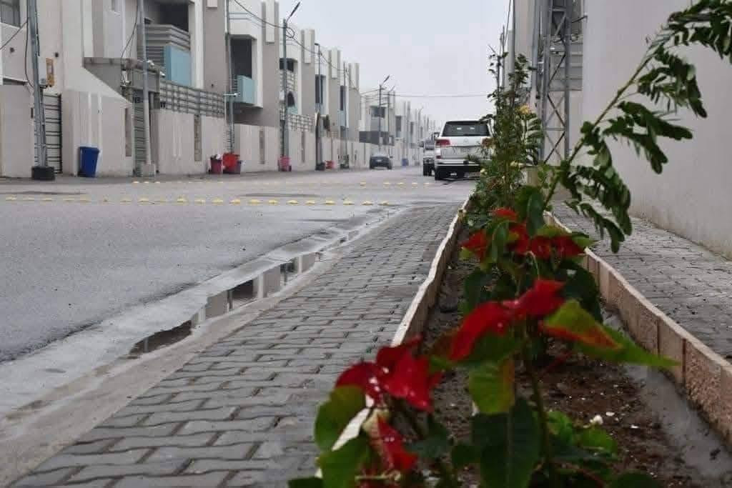 دار للإيجار • ٢٥٠م • ٤غرف