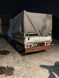 07744318534